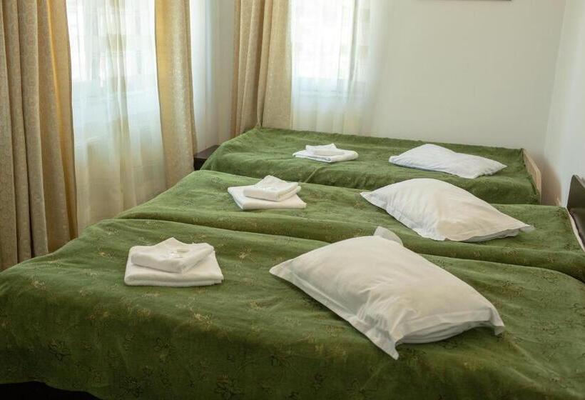 펜션 Curtea Brancovenească