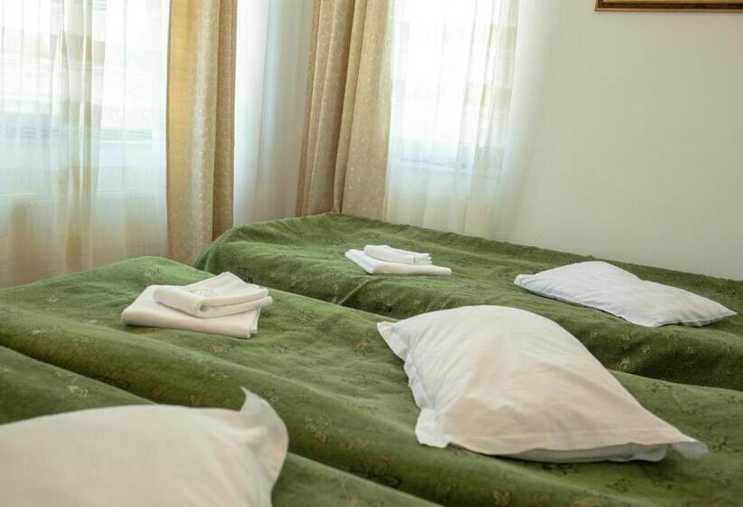 펜션 Curtea Brancovenească