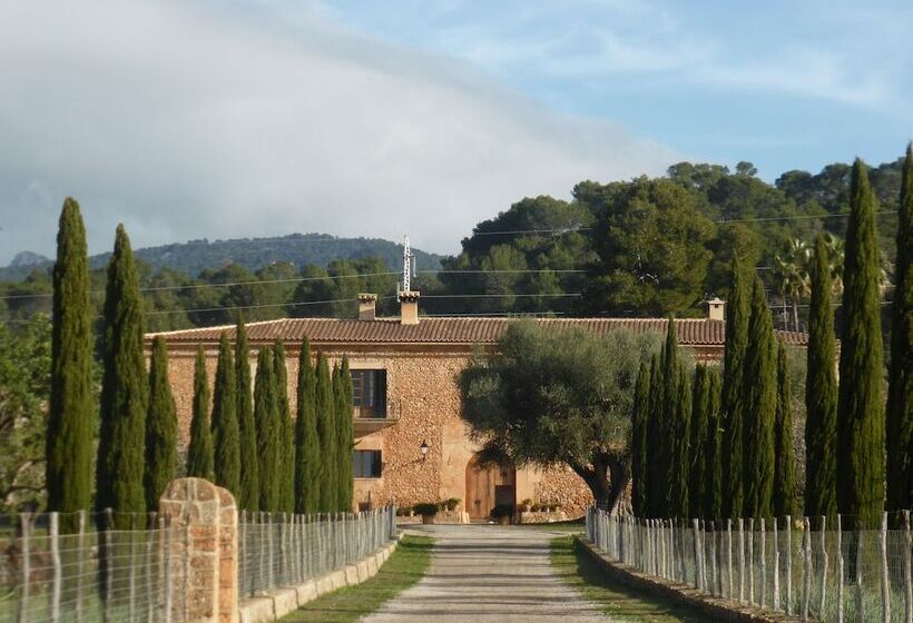 펜션 Finca Es Cabàs