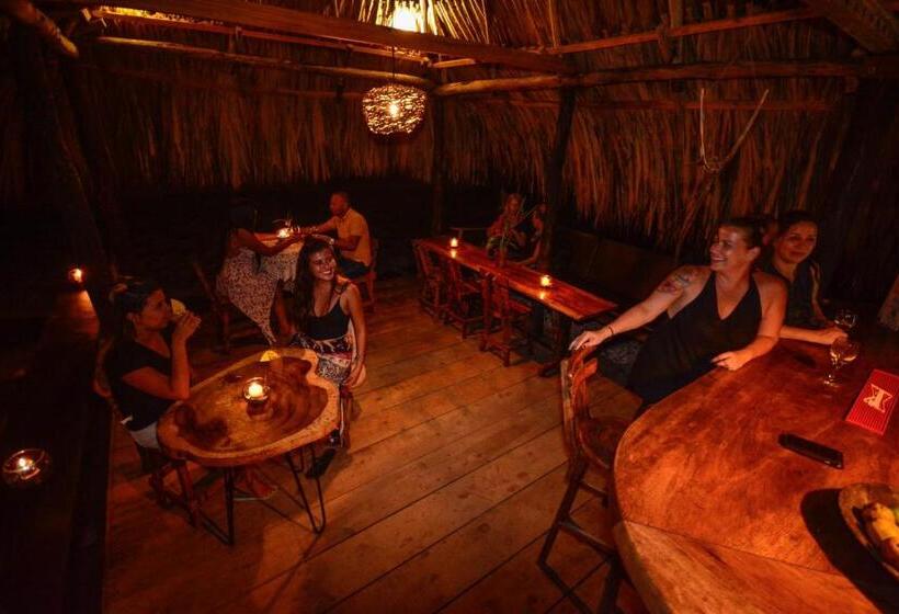 膳宿费 Finca Escondida