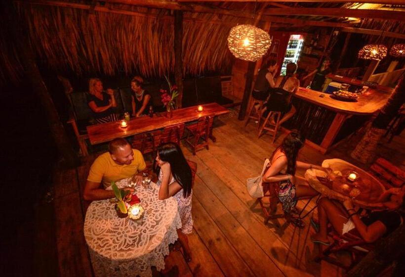 膳宿费 Finca Escondida