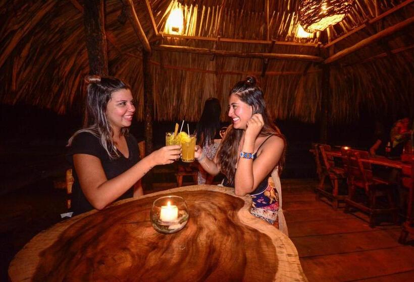 膳宿费 Finca Escondida