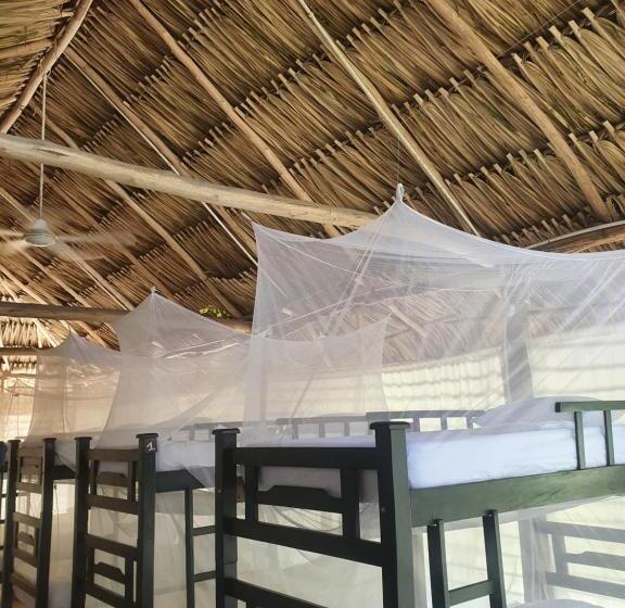 膳宿费 Finca Escondida