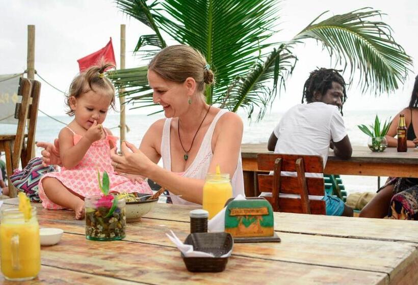 膳宿费 Finca Escondida