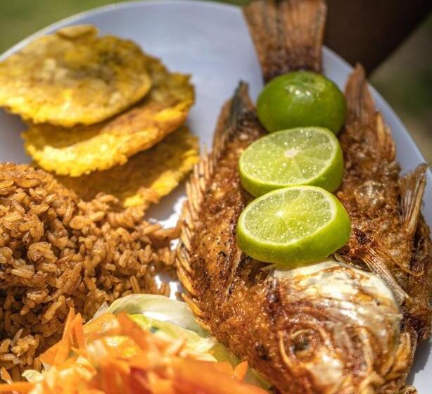 膳宿费 Finca Escondida