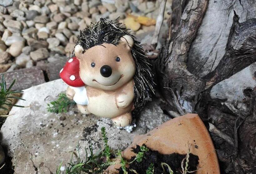 膳宿费 Guesthouse Kohári