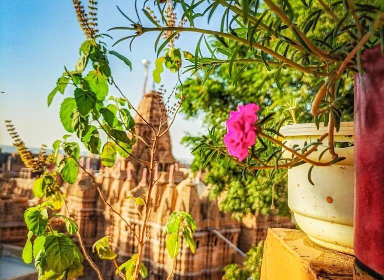 پانسیون Mud Mirror Guesthouse