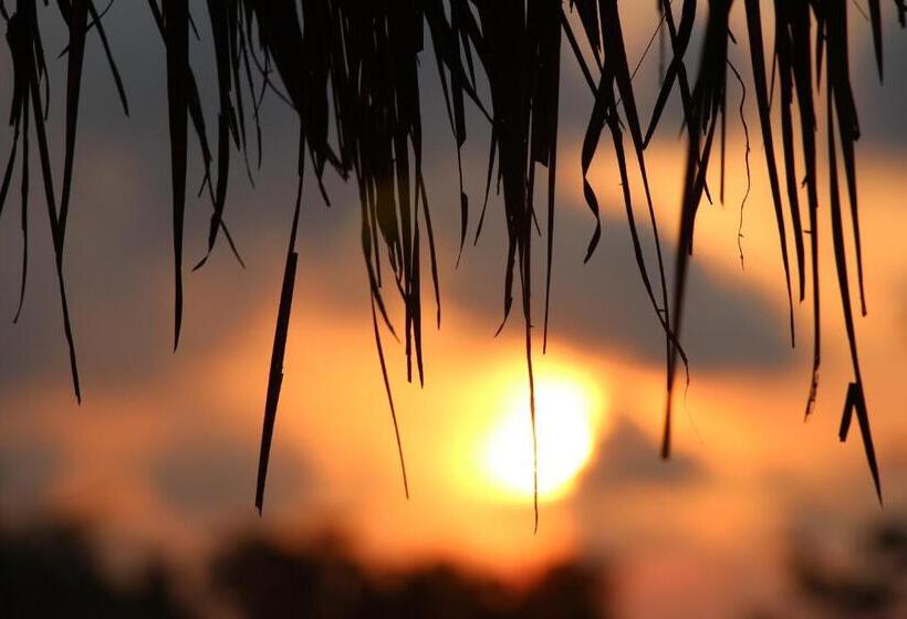 Panzió Nur Guest House By Purely