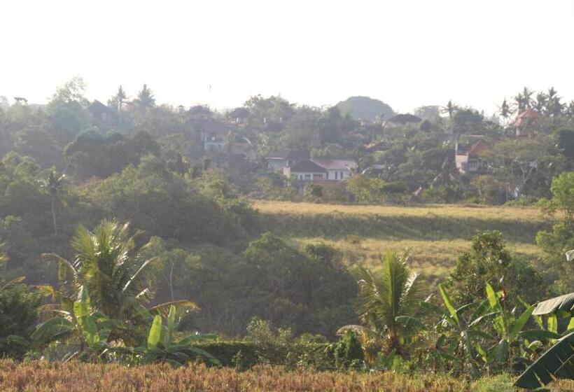 Panzió Nur Guest House By Purely