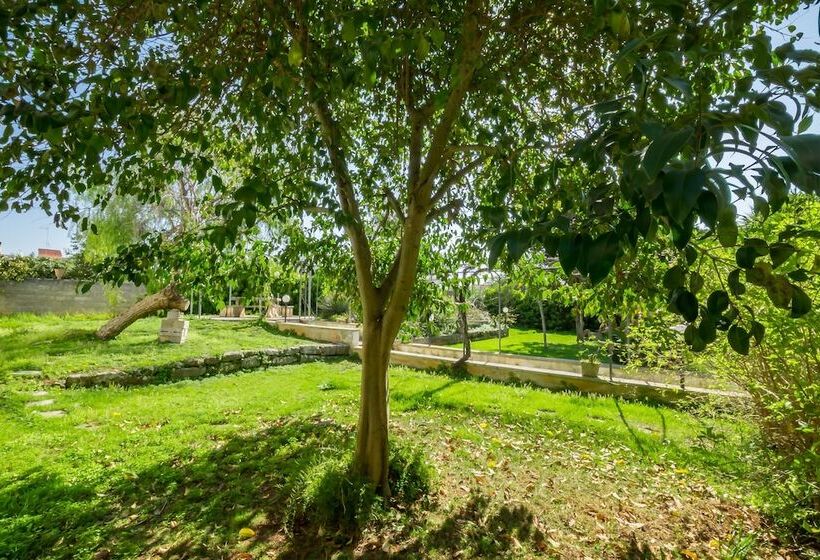 بنسيون B&b Palazzo Ashian