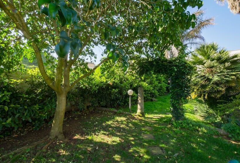 بنسيون B&b Palazzo Ashian