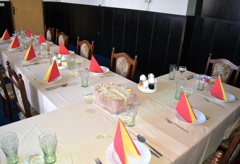 بنسيون Penzion Tago Bohumin