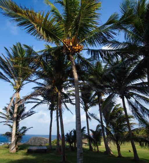 פנסיון Pousada Santu Noronha