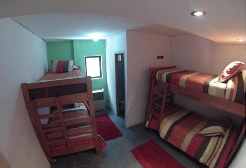 بنسيون Pucontours Hostal   Hostel