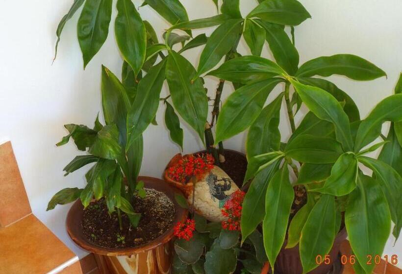 פנסיון Sveti Georgi Guest House