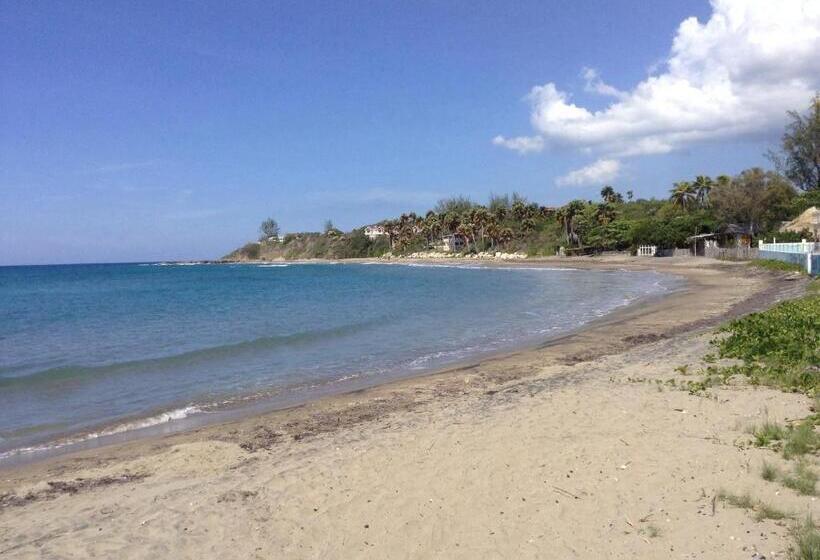 膳宿费 Welcoming Vibes