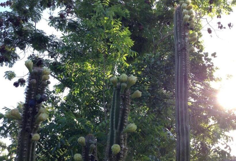 膳宿费 Welcoming Vibes