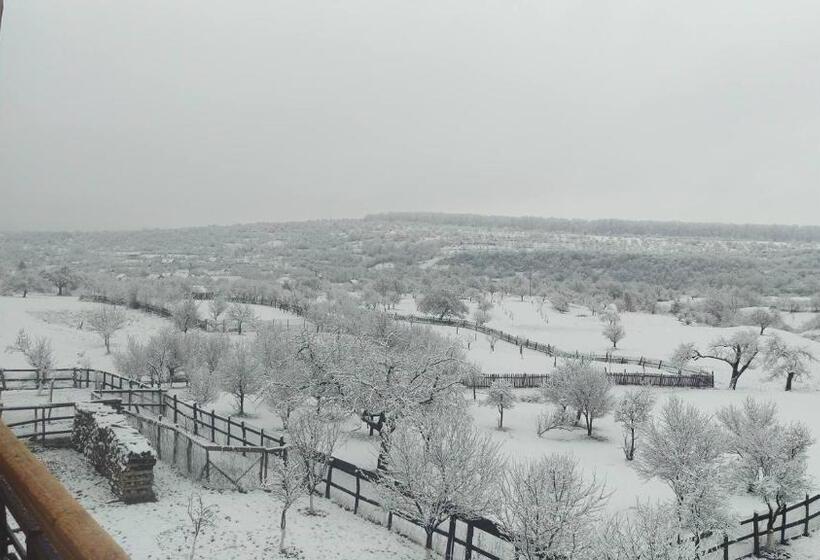 Pensiunea Printul Vlad