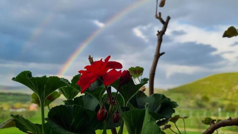 Pensiunea Printul Vlad