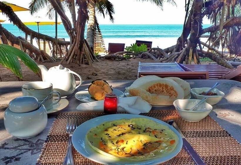 Общежитие Arcade Beach