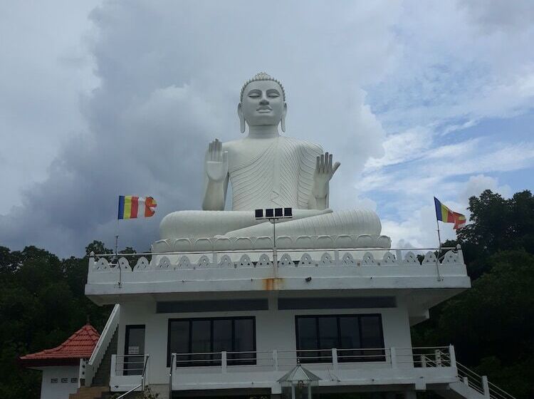 Общежитие Arcade Beach