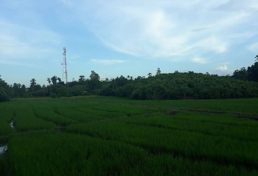 Общежитие Arcade Beach