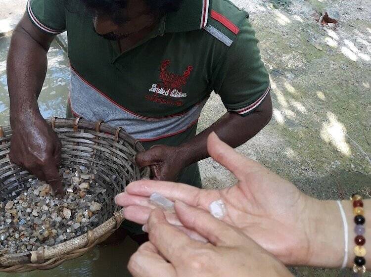 Общежитие Arcade Beach