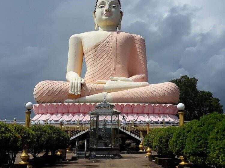 Общежитие Arcade Beach