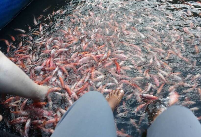 Общежитие Arcade Beach