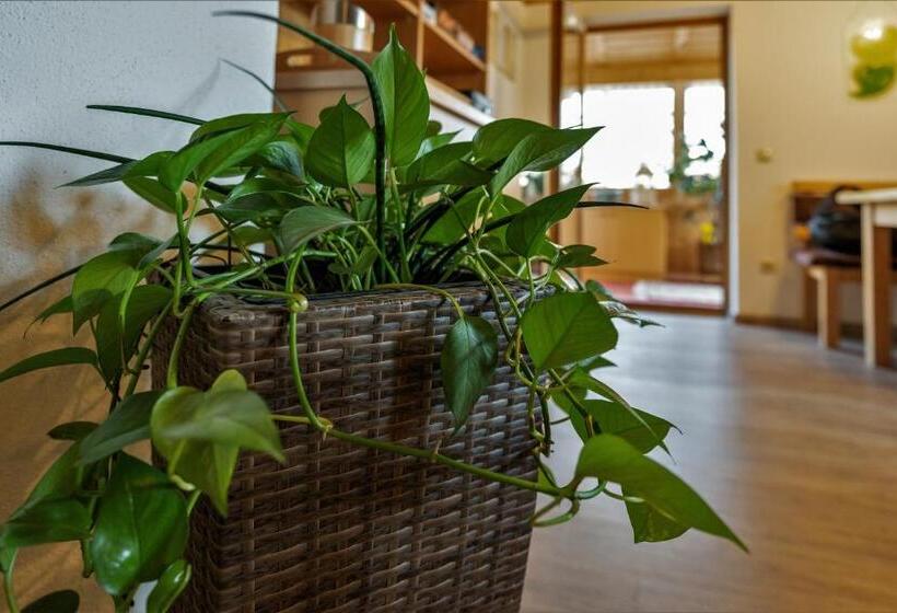 ユースホステル Gasthof Arracher Hof