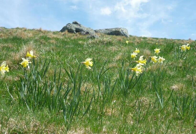 فندق صغير Auberge De L Aspre