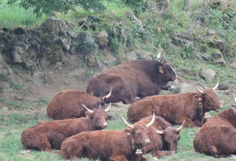 فندق صغير Auberge De L Aspre