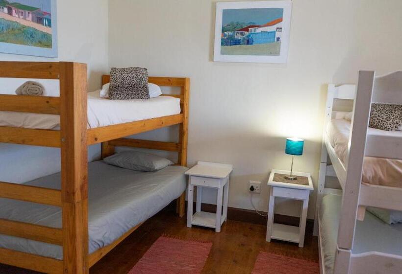 הוסטל Bay Vista Guesthouse