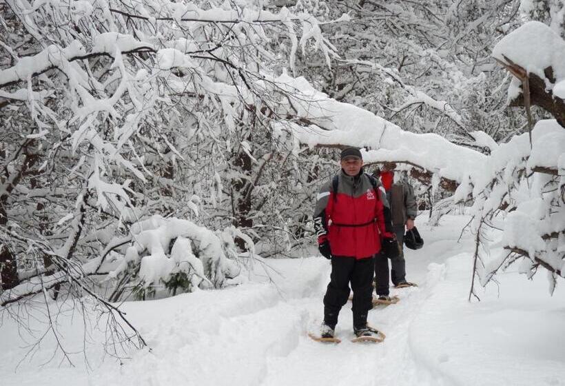 호스텔 Camp Taureau Altaï Canada