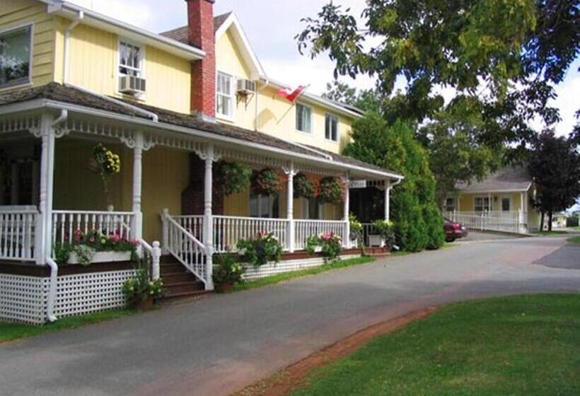 ユースホステル Shining Waters Country Inn