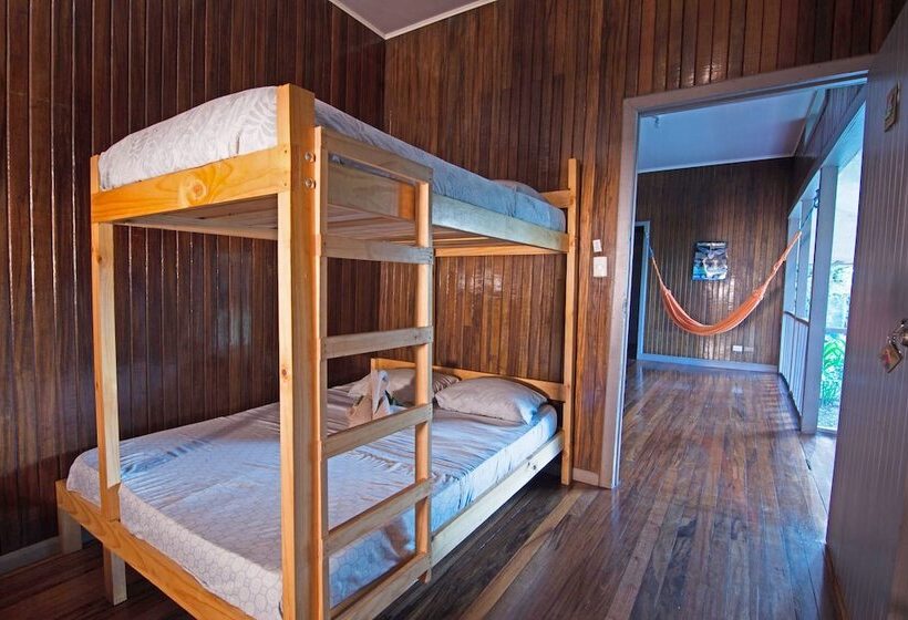 Hostel Islas Del Río