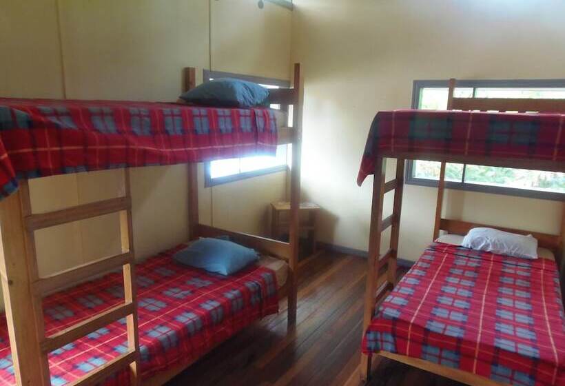 Hostel Islas Del Río