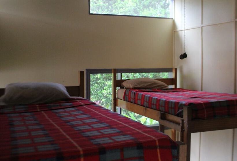 Hostel Islas Del Río