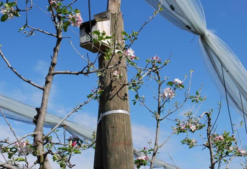 فندق Agriturismo Il Frutto Permesso