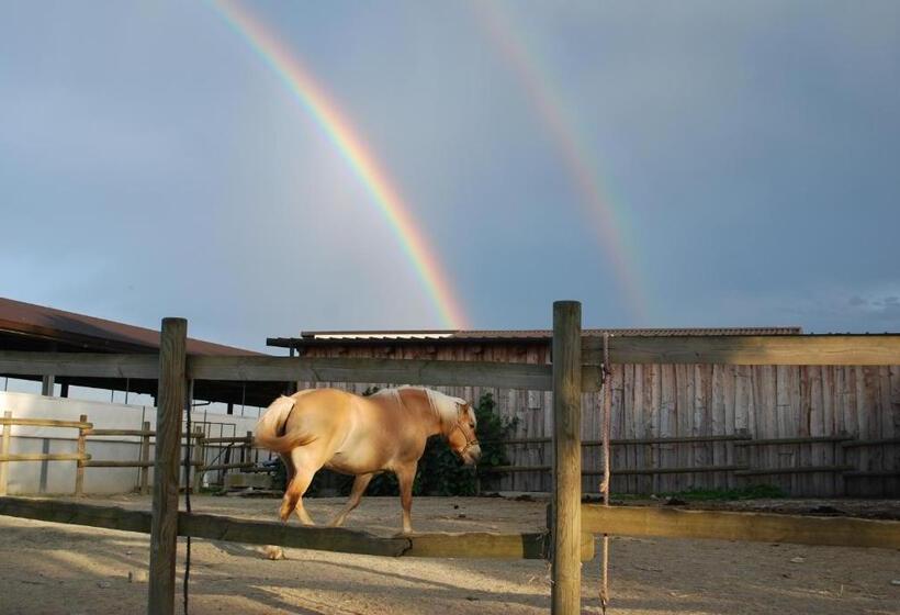 فندق Agriturismo Il Frutto Permesso