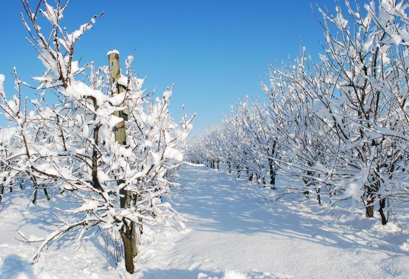 فندق Agriturismo Il Frutto Permesso