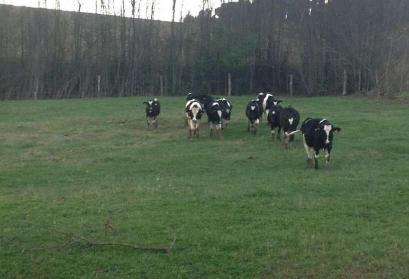 فندق Agriturismo San Giovanni