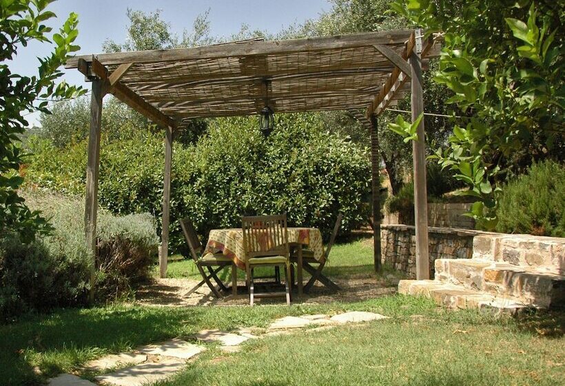 בית מלון כפרי Agriturismo Uliveto Saglietto