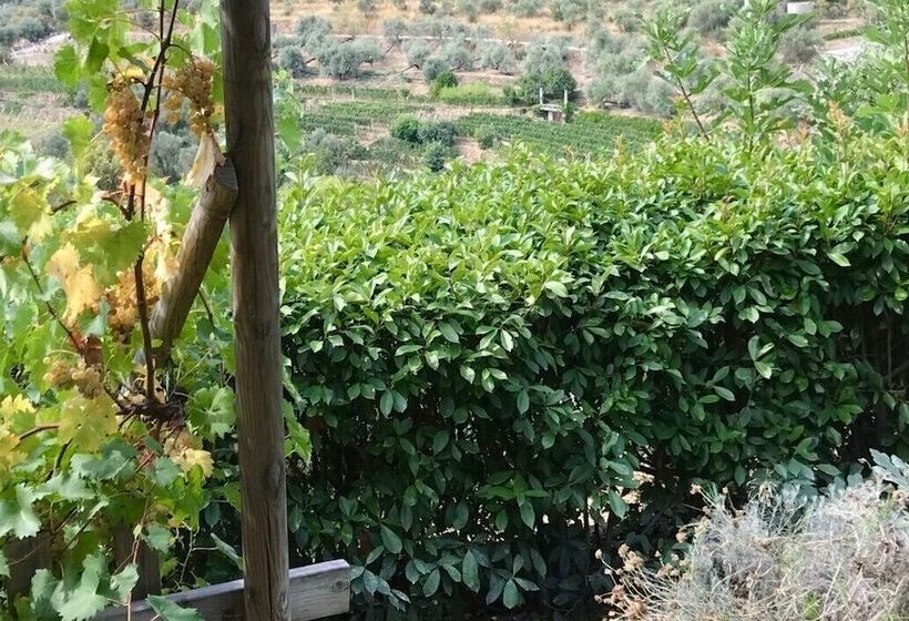 בית מלון כפרי Agriturismo Uliveto Saglietto