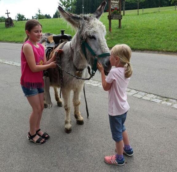 בית מלון כפרי Andreashof