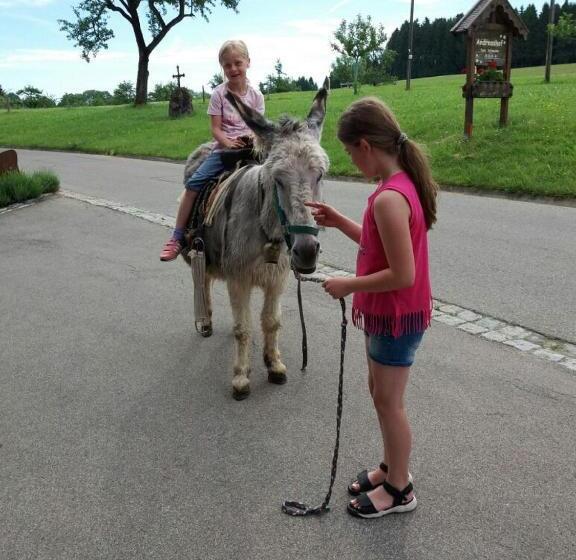 בית מלון כפרי Andreashof