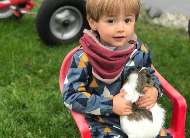 בית מלון כפרי Andreashof