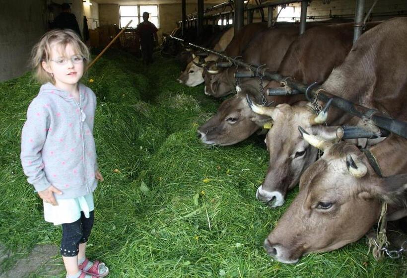 בית מלון כפרי Andreashof