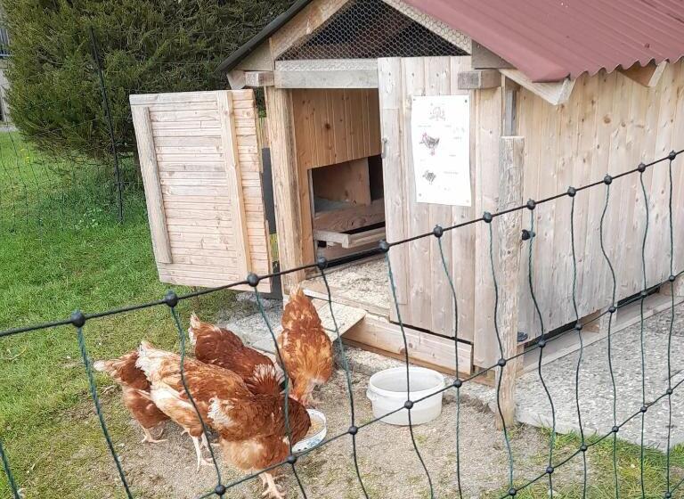 בית מלון כפרי Andreashof