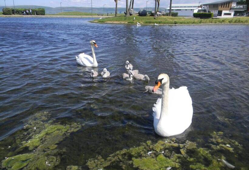 ペンション Harbour Lights Guesthouse